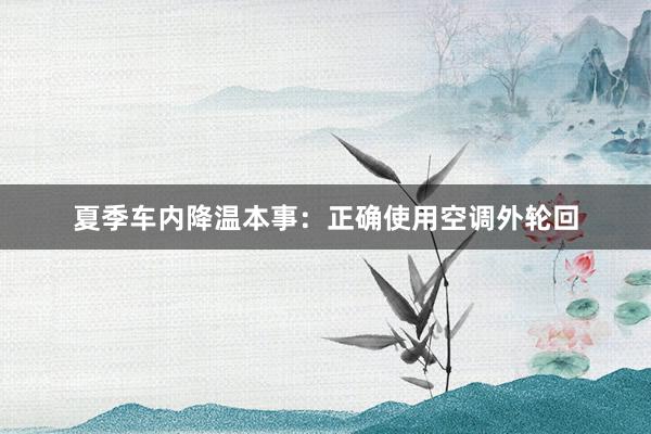 夏季车内降温本事：正确使用空调外轮回